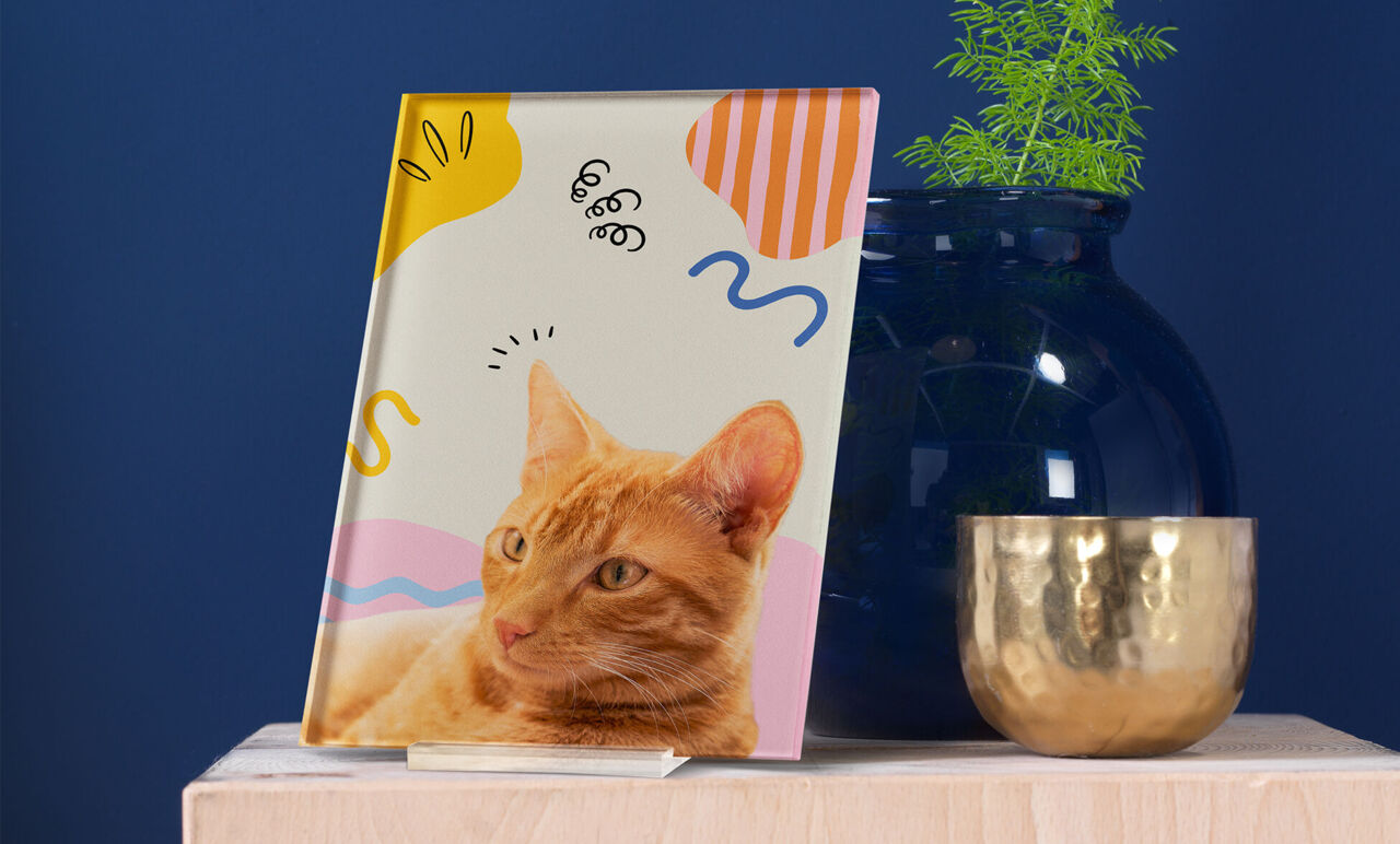 CEWE-Wandbild aus Acrylglas mit dem Foto einer orangefarbenen Katze auf einem Schrank. Daneben befindet sich eine Vase mit grünem Blattwerk.